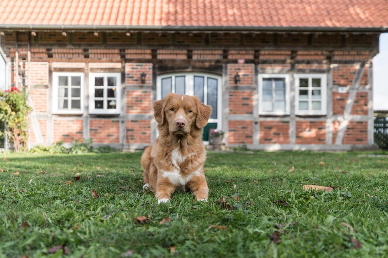 Fachwerk-Ferienhaus, Ruhe Auf Dem Land, Haustiere Willkommen, Leihfahrraeder, 24-7 Check In Kirchlinteln Esterno foto
